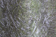 Wangford fibreglass roof work